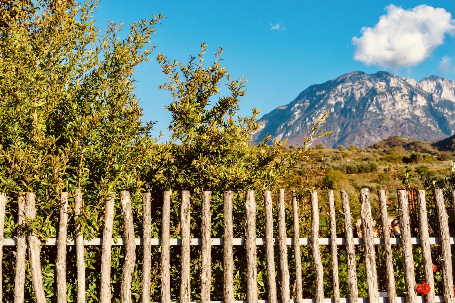 Tomorri above a chestnut-wood fence and green trees