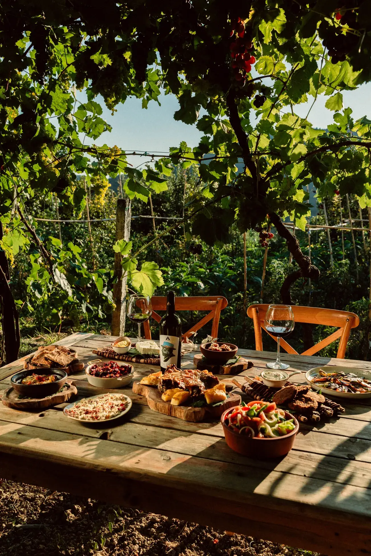 A table under the vine pergola set with grilled lamb, salads, cheese and a bottle of Xha Beqo