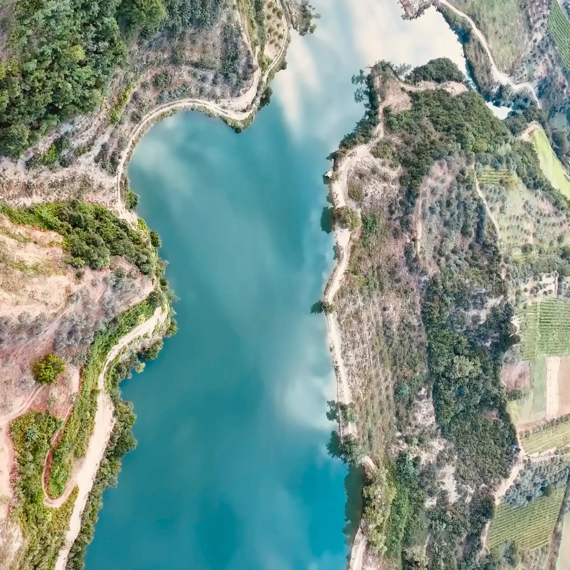 Drone view looking straight down on a turquoise lake among olive terraces
