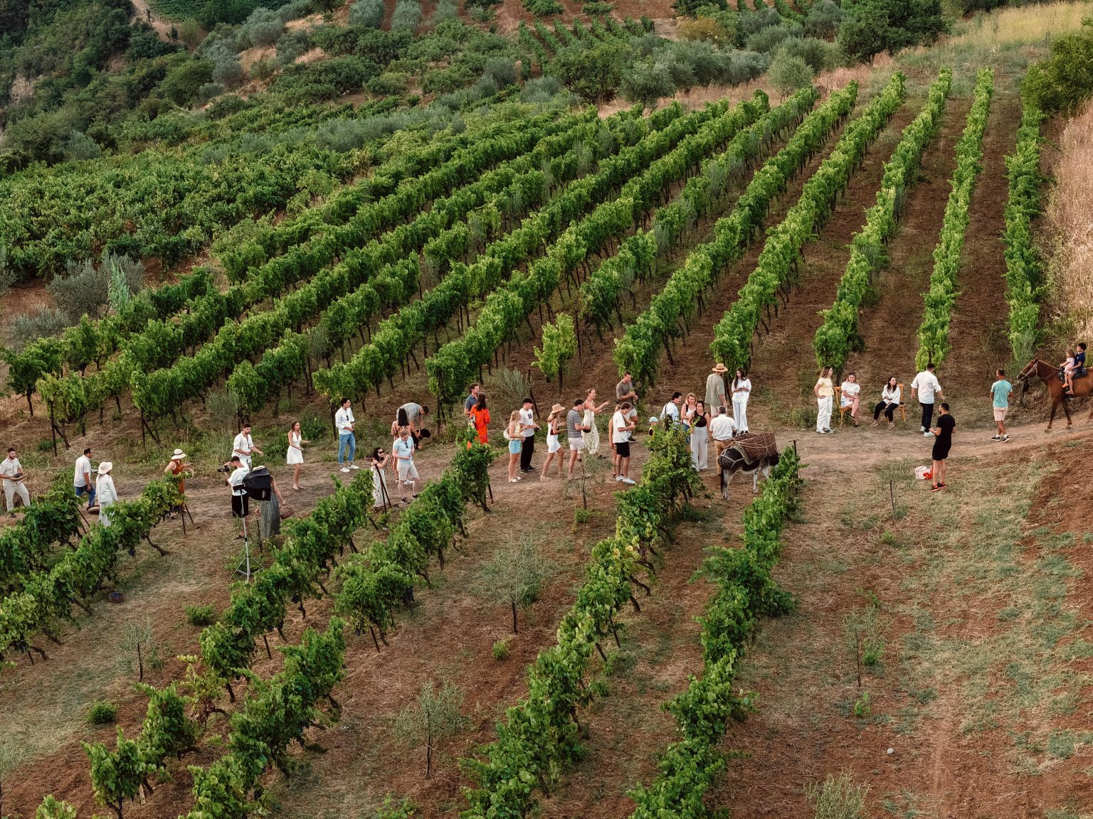 DJI_20250827180219_0117_D